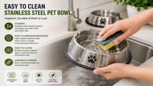 Cleaning a stainless steel pet bowl to maintain hygiene and durability