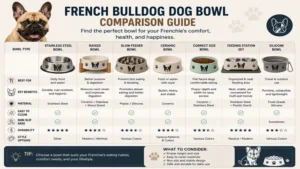 Comparison of different french bulldog dog bowl styles to help choose the best option for your pet.